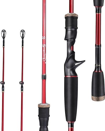 carbon fiber fishing rods|12 Best Carbon Fiber Fishing Rods .